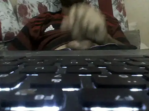 Snapshot of brunnosilva30 chatting on 30, 10, 2025 brunnosilva30 online show from 30, 10, 2025