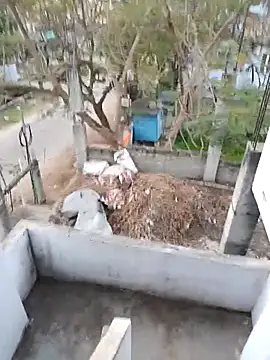 Snapshot of hemcrazy chatting on 20, 2, 2026 hemcrazy online show from 20, 2, 2026