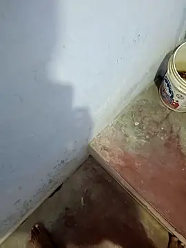 Snapshot of hemcrazy chatting on 3, 2, 2026 hemcrazy online show from 3, 2, 2026