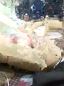 ROSHANI 234 online show from 2, 11, 2025