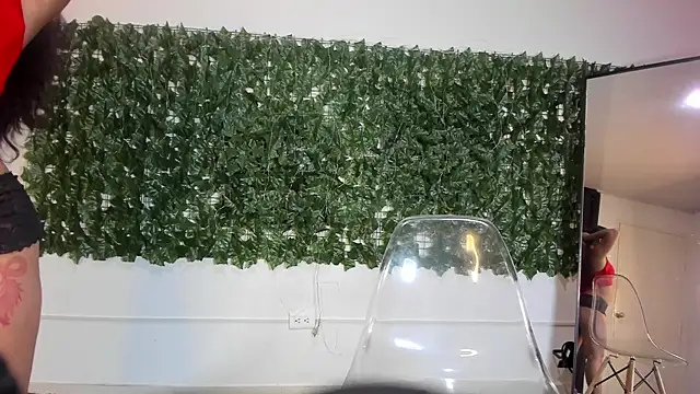 Amayavaldes online show from 14, 1, 2026