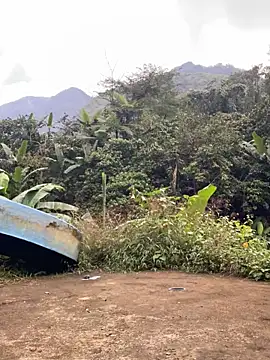 Pii x online show from 21, 11, 2025