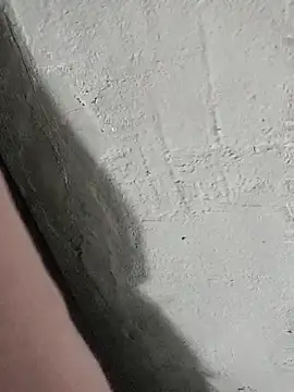 pn12345 online show from 27, 10, 2025