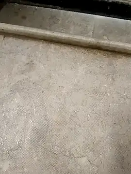 pn12345 online show from 30, 11, 2025