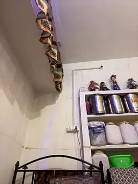 Sapnahot34 online show from 7, 11, 2025