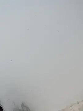  Bella Beth  online show from 2, 12, 2025