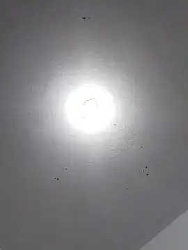  Bella Beth  online show from 30, 11, 2025