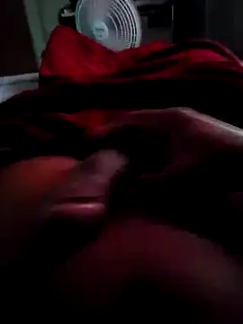 picadme online show from 30, 3, 2026