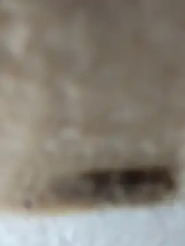 Snapshot of Cr_sonam chatting on 24, 11, 2025 Cr sonam online show from 24, 11, 2025