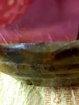 Snapshot of Cr_sonam chatting on 17, 11, 2025 Cr sonam online show from 17, 11, 2025