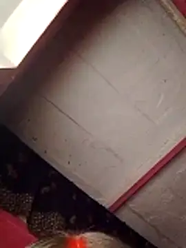 Snapshot of Cr_sonam chatting on 7, 11, 2025 Cr sonam online show from 7, 11, 2025