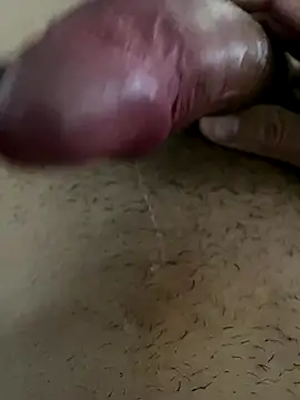 leiteiro2002 online show from 9, 11, 2025