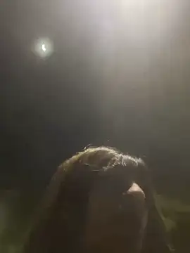 SiaraRealist online show from 8, 11, 2025