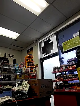 Cassaroll333 online show from 29, 10, 2025