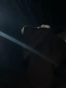 hello-cute online show from 12, 11, 2025