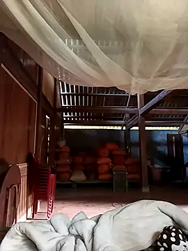 jerry-xx online show from 2, 12, 2025