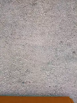 Ut kanchna online show from 26, 11, 2025