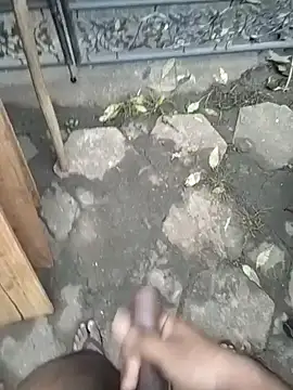 SL BEAR online show from 4, 12, 2025