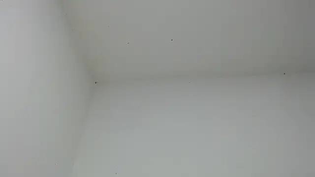 drako monster online show from 18, 12, 2025