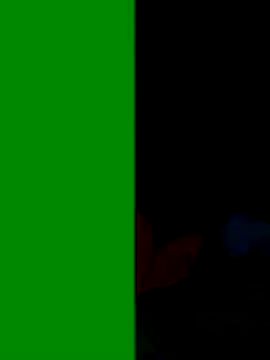 Co punam online show from 3, 11, 2025