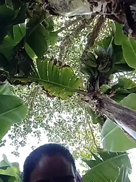 Co punam online show from 1, 4, 2026