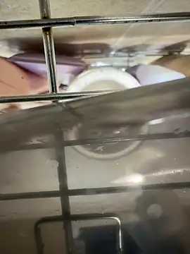 Beastyfuck online show from 25, 11, 2025