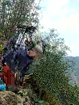 gio-thu online show from 11, 4, 2026