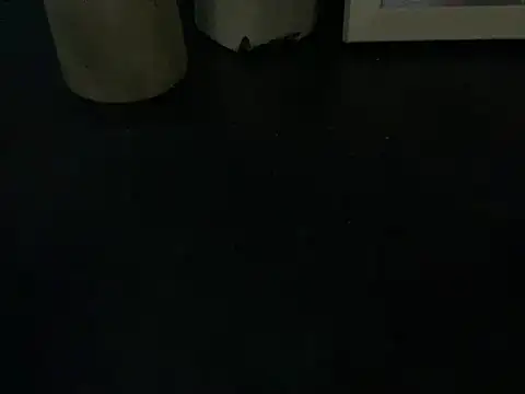 Snapshot of Victoria_Panther chatting on 28, 10, 2025 Victoria Panther online show from 28, 10, 2025