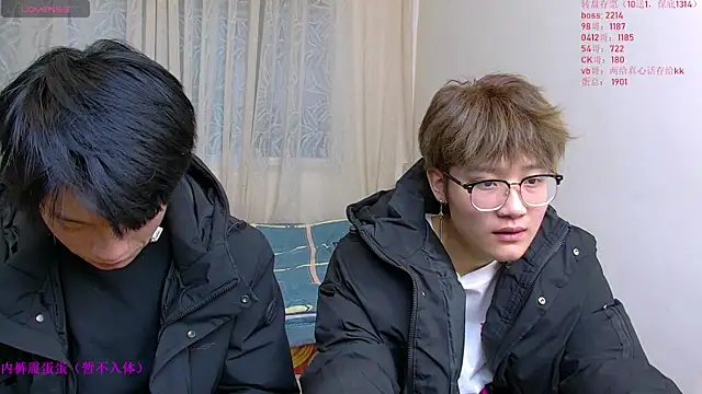 KK-cuteboy online show from 6, 1, 2026