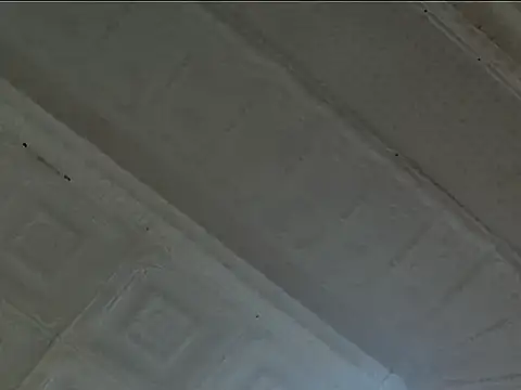 Snapshot of EsotericPaloma chatting on 24, 10, 2025 EsotericPaloma online show from 24, 10, 2025