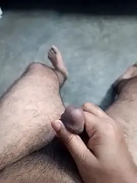 TrainedBend28 online show from 8, 3, 2026