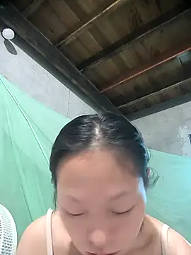 Zerin nova online show from 1, 11, 2025