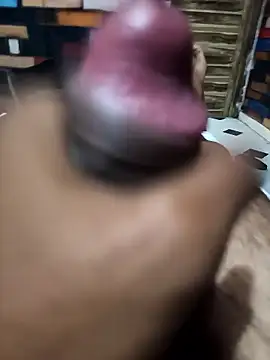 siddBus online show from 11, 10, 2025