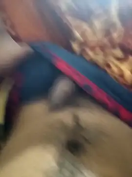 siddBus online show from 14, 10, 2025