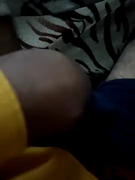 siddBus online show from 13, 11, 2025