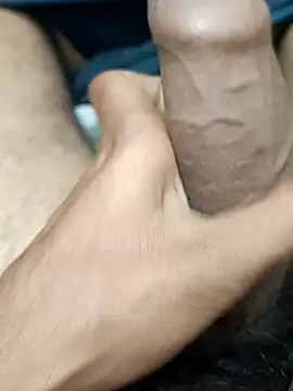 siddBus online show from 29, 10, 2025