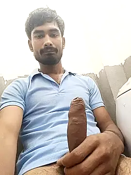 siddBus online show from 2, 11, 2025