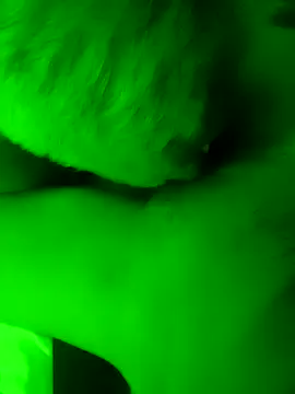 EleRohde online show from 28, 3, 2026