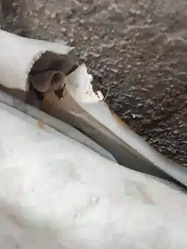 Snapshot of blackhot30 chatting on 12, 10, 2025 blackhot30 online show from 12, 10, 2025