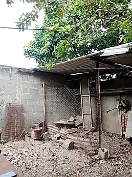 Snapshot of blackhot30 chatting on 26, 11, 2025 blackhot30 online show from 26, 11, 2025