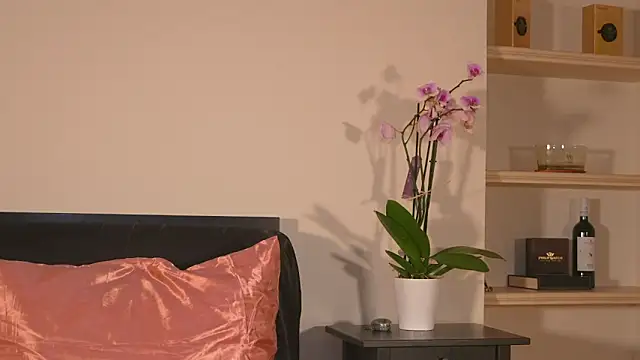 AbrilColls  online show from 21, 3, 2026