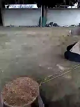 marylove-cc online show from 20, 11, 2025