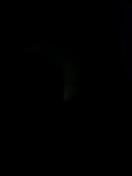 sexdol2 online show from 1, 12, 2025