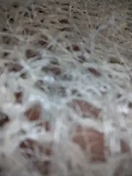 azul vera online show from 1, 12, 2025