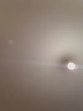 labellerose online show from 14, 11, 2025