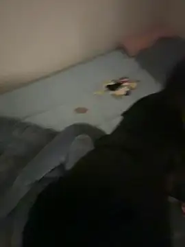 MISA 02 online show from 9, 2, 2026