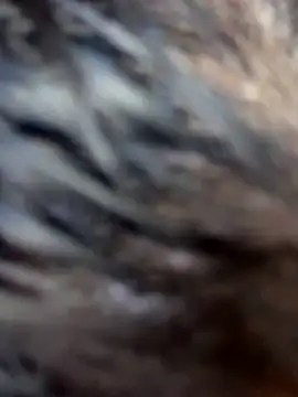 Swweet Miia1 online show from 1, 3, 2026