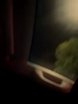 Snapshot of Butterfly8385 chatting on 14, 11, 2025 Butterfly8385 online show from 14, 11, 2025