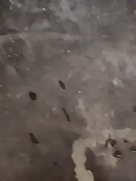 play boy-raj007 online show from 15, 10, 2025