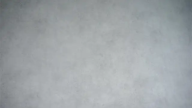 MonetLeitman online show from 11, 4, 2026